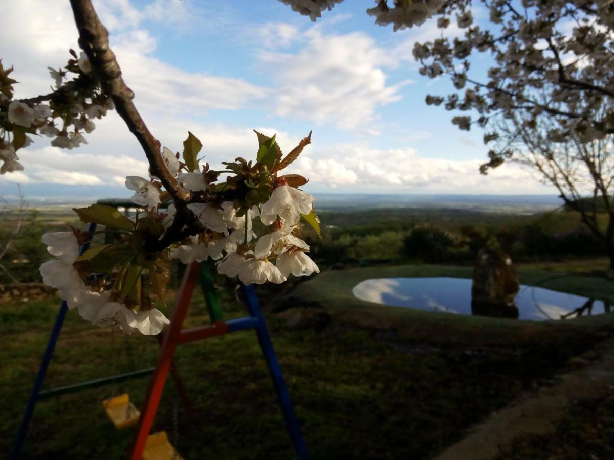 Mirador Cotos